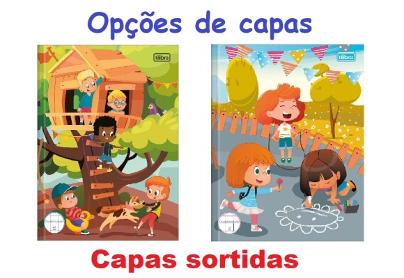 https://colegiotomazbaby.papelariapremium.com.br/image/cache/data/eftr/Img_ftr_rp_179101-580x400.JPG