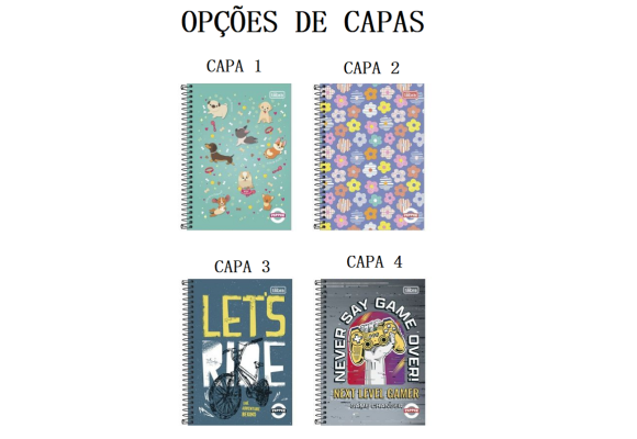 https://colegiotomazbaby.papelariapremium.com.br/image/cache/data/eftr/Img_ftr_rp_395401-580x400.PNG