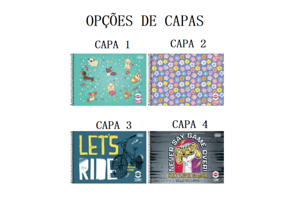 https://colegiotomazbaby.papelariapremium.com.br/image/cache/data/eftr/Img_ftr_rp_395601-580x400.PNG