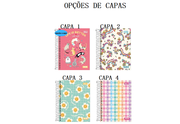 https://colegiotomazbaby.papelariapremium.com.br/image/cache/data/eftr/Img_ftr_rp_408301-580x400.PNG