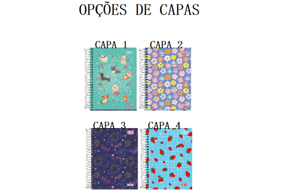 https://colegiotomazbaby.papelariapremium.com.br/image/cache/data/eftr/Img_ftr_rp_409101-580x400.PNG
